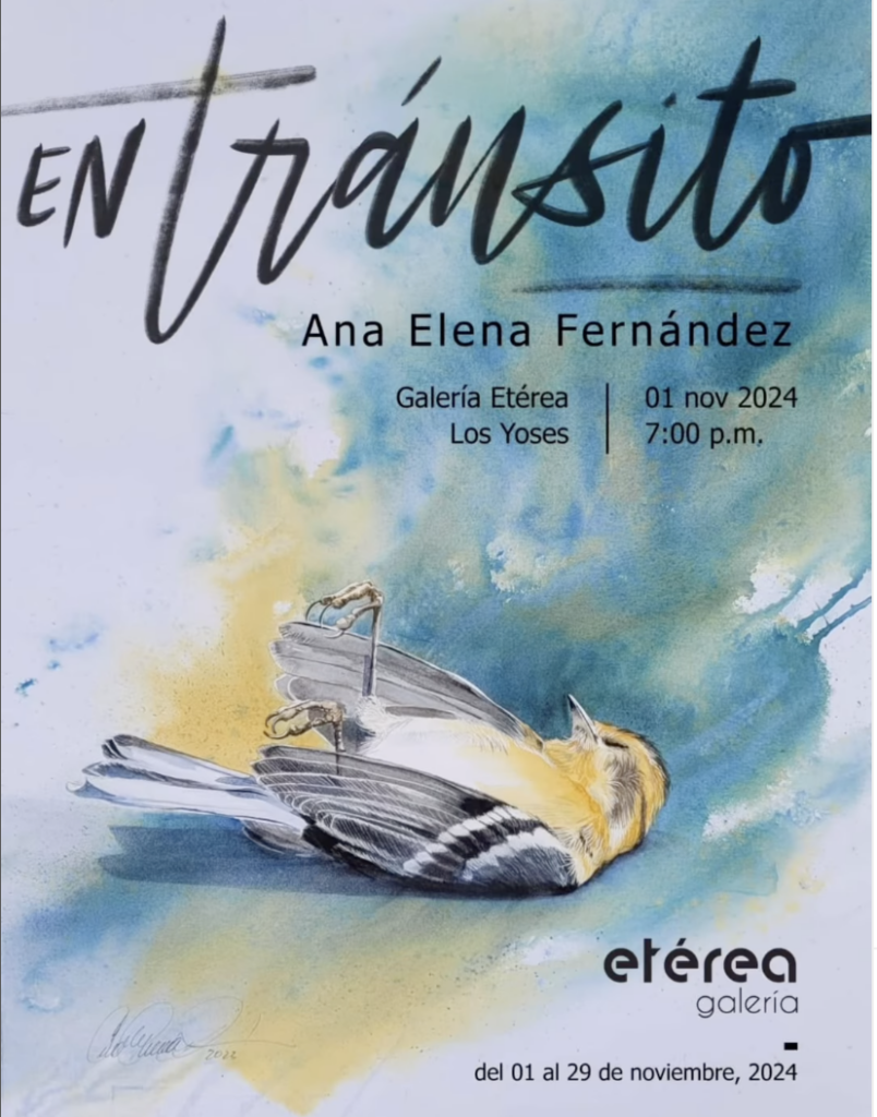 Invitation to Ana Elena Fernández's exhibition at Galería Etérea in San José this November 2024.